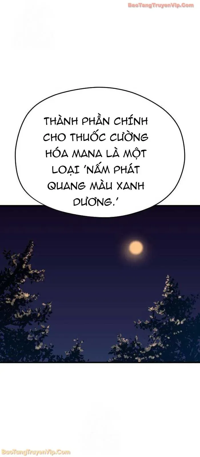 Lính Đánh Thuê Từ Dị Giới Chapter 4 - 8