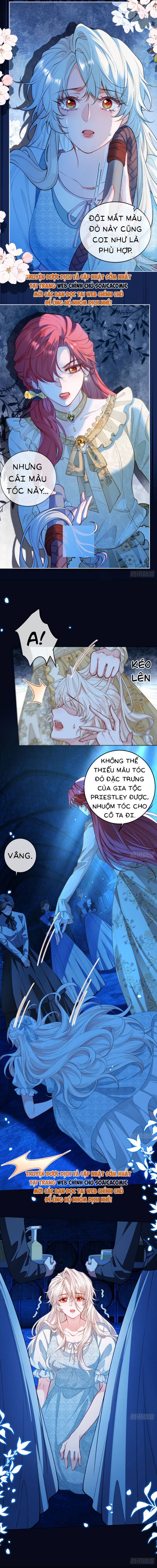 Kế Độc Của Hầu Gái Chapter 1 - 8