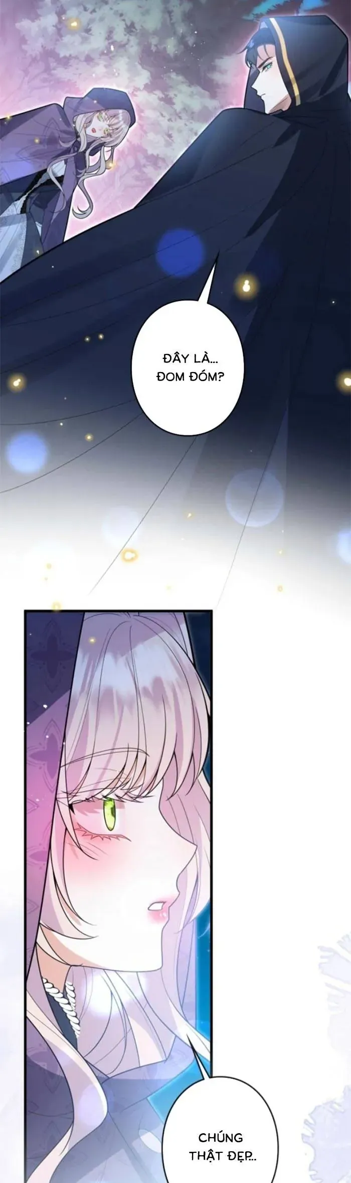 Mẹ Đơn Thân Và Nổi Ám Ảnh Của Thái Tử Chapter 10 - 29