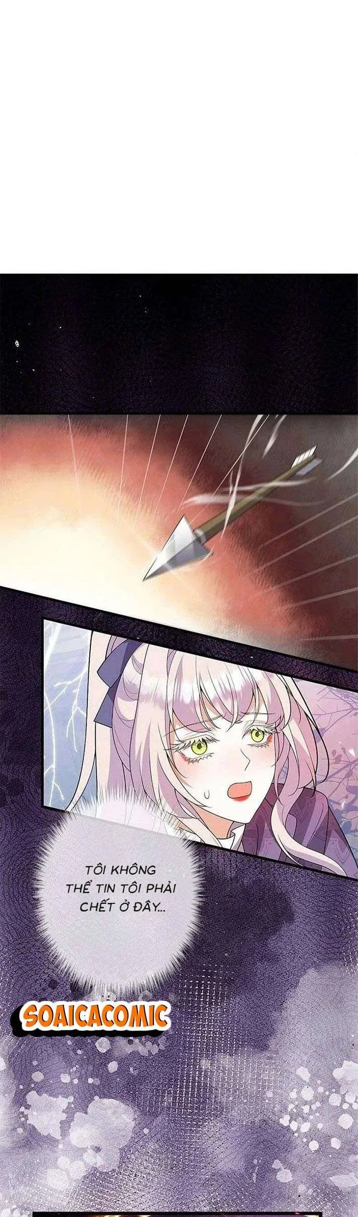 Mẹ Đơn Thân Và Nổi Ám Ảnh Của Thái Tử Chapter 28 - 35