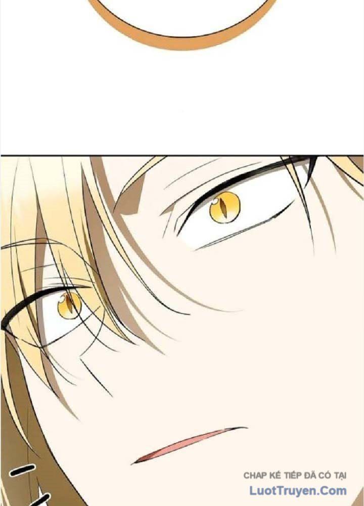 Tái Sinh Thành Tam Thiếu Gia Nhà Đại Công Tước Chapter 13 - 87
