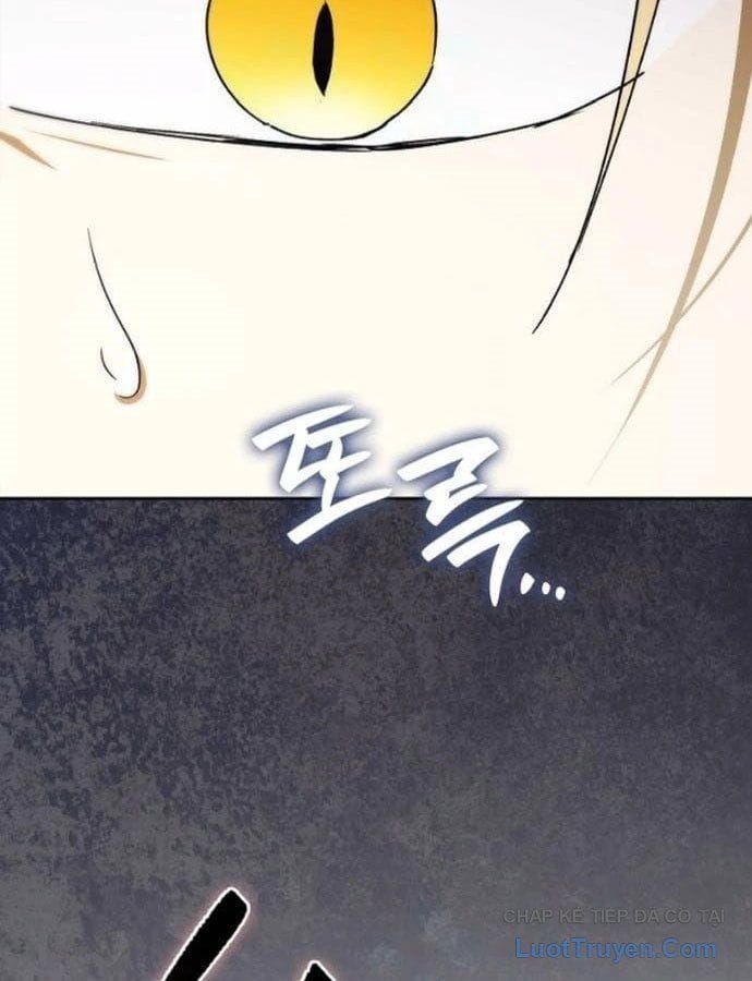 Tái Sinh Thành Tam Thiếu Gia Nhà Đại Công Tước Chapter 18 - 111