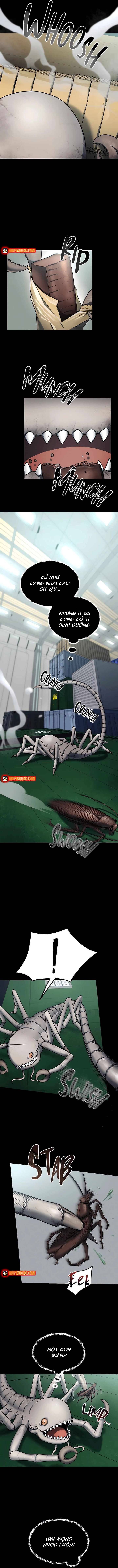 Khởi Nguyên Của Một Quái Thể Vũ Trụ Chapter 2 - 8