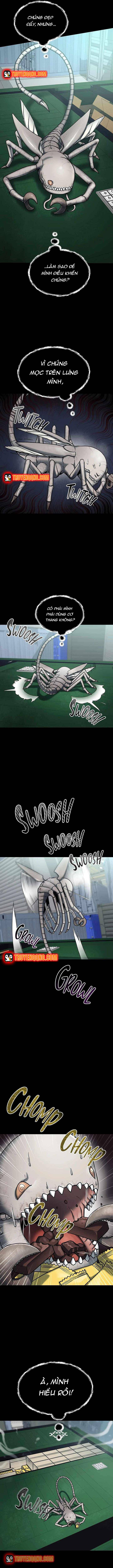 Khởi Nguyên Của Một Quái Thể Vũ Trụ Chapter 3 - 2