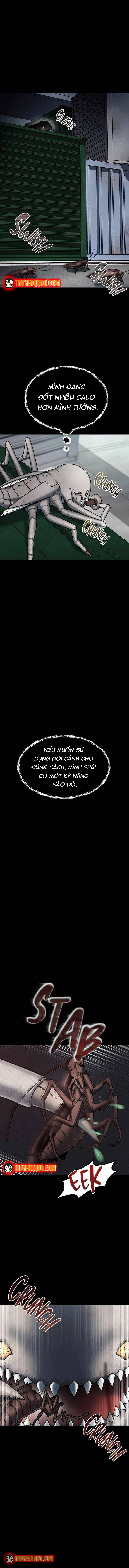 Khởi Nguyên Của Một Quái Thể Vũ Trụ Chapter 3 - 3