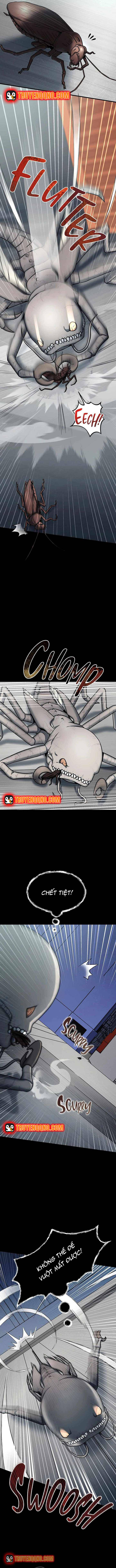 Khởi Nguyên Của Một Quái Thể Vũ Trụ Chapter 3 - 6
