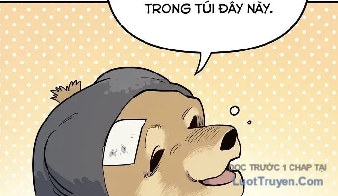 Mimosa (Cây Trinh Nữ) Chapter 1 - 208