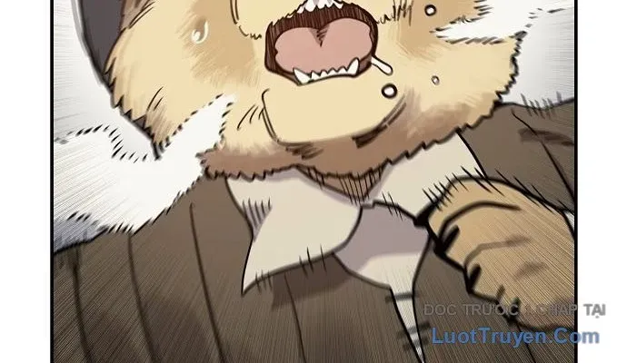 Mimosa (Cây Trinh Nữ) Chapter 1 - 244