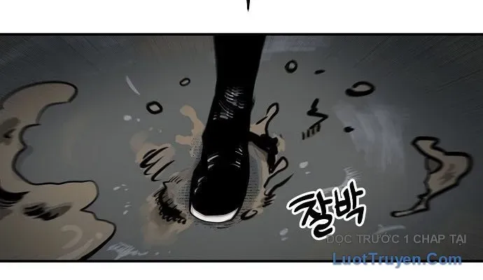 Mimosa (Cây Trinh Nữ) Chapter 1 - 424