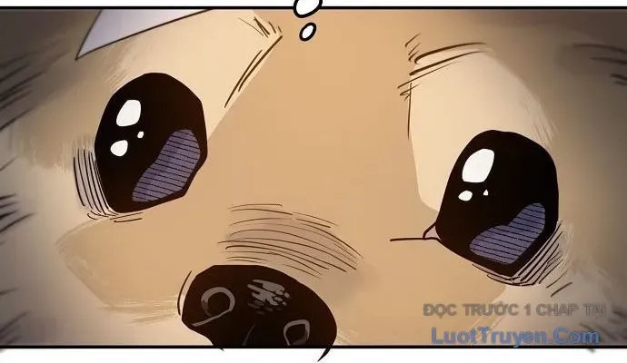 Mimosa (Cây Trinh Nữ) Chapter 1 - 544