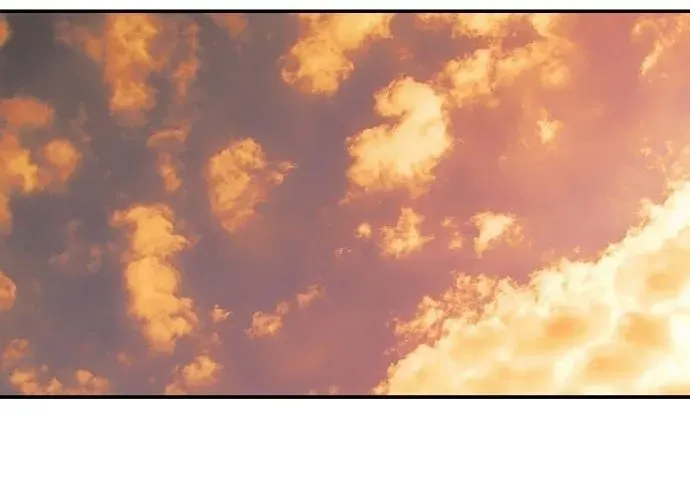 Mimosa (Cây Trinh Nữ) Chapter 1 - 551