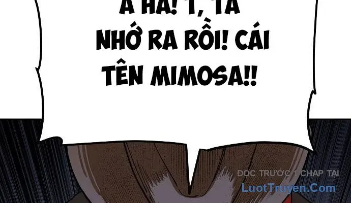 Mimosa (Cây Trinh Nữ) Chapter 1 - 564