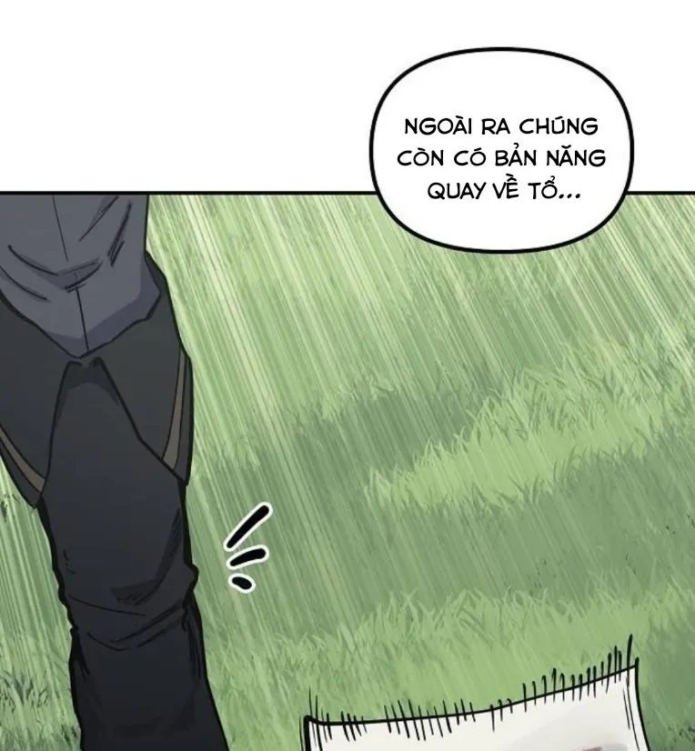 Mimosa (Cây Trinh Nữ) Chapter 3 - 34