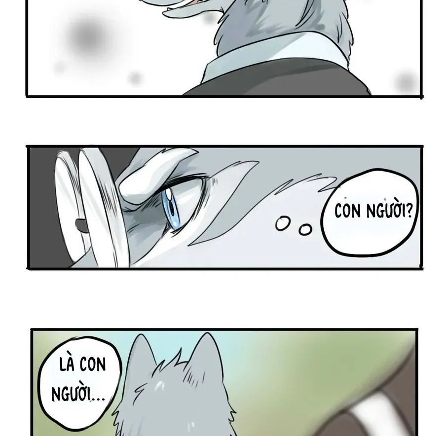 Động Vật Đầu Tiên Chapter 1 - 25
