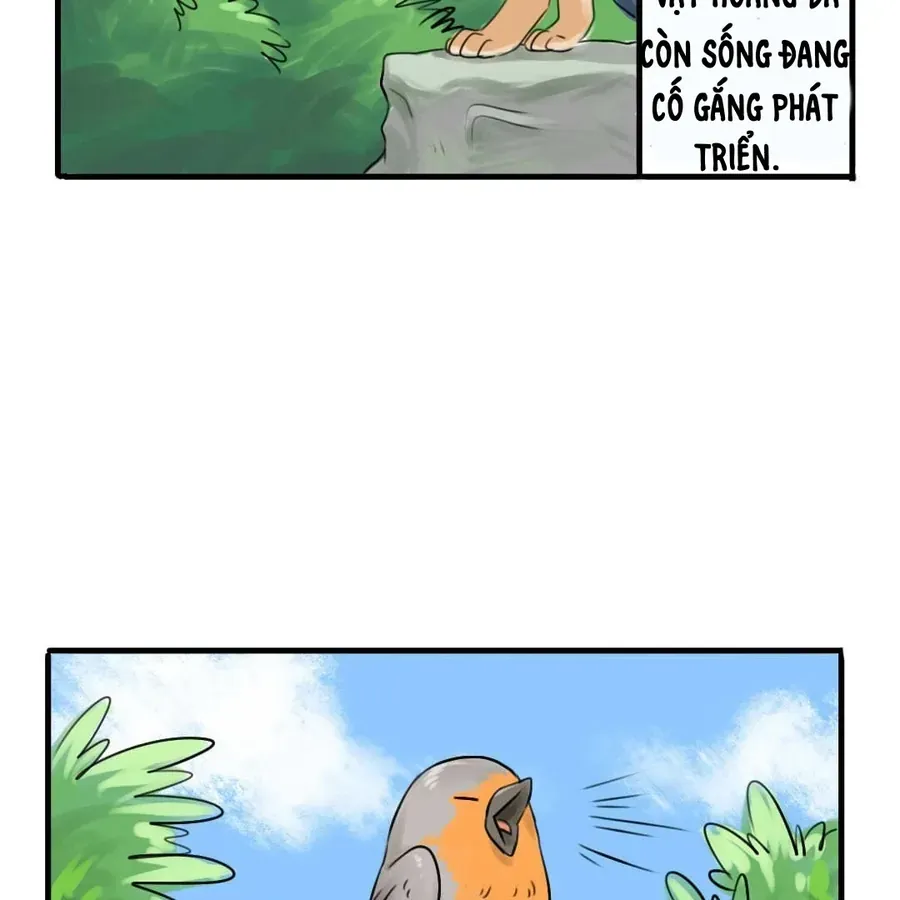 Động Vật Đầu Tiên Chapter 1 - 5