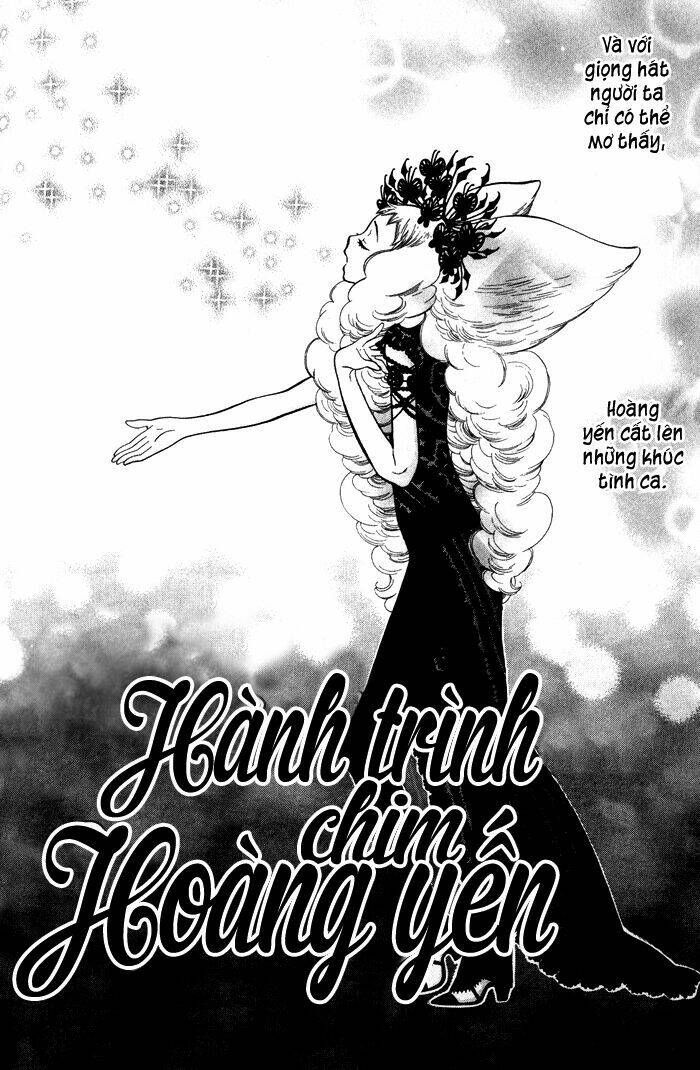 Alone In My King's Harem Chapter 4 - 5
