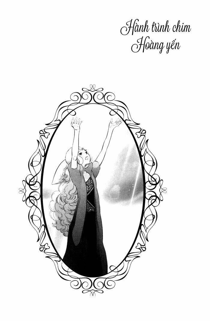 Alone In My King's Harem Chapter 4 - 43