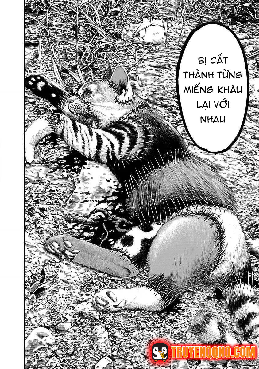 Mặt Tối Của Ayako Chapter 1 - 18