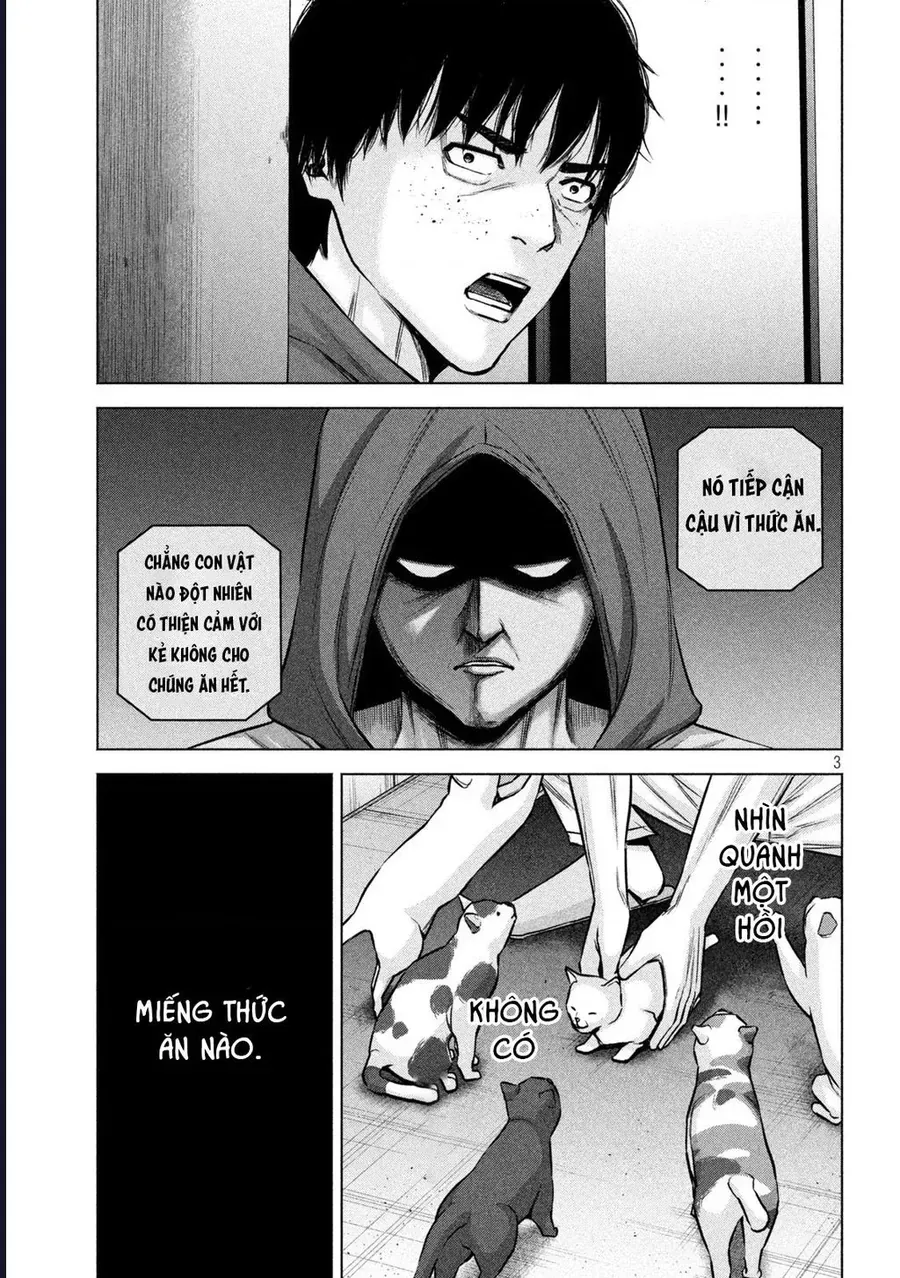 Hãy Gửi Lời Chào Của Tôi Tới Kenshiro Chapter 65 - 5