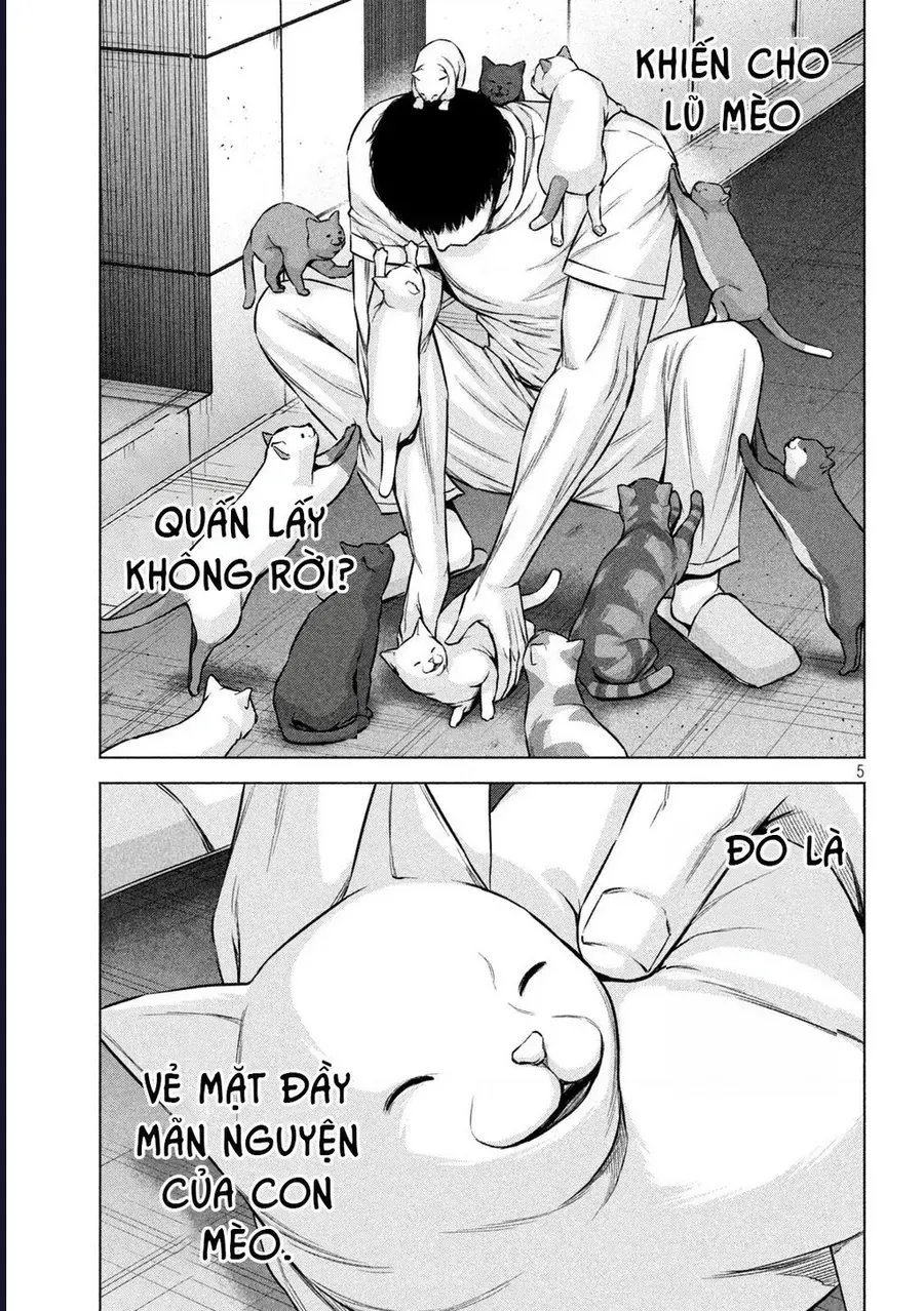 Hãy Gửi Lời Chào Của Tôi Tới Kenshiro Chapter 65 - 7