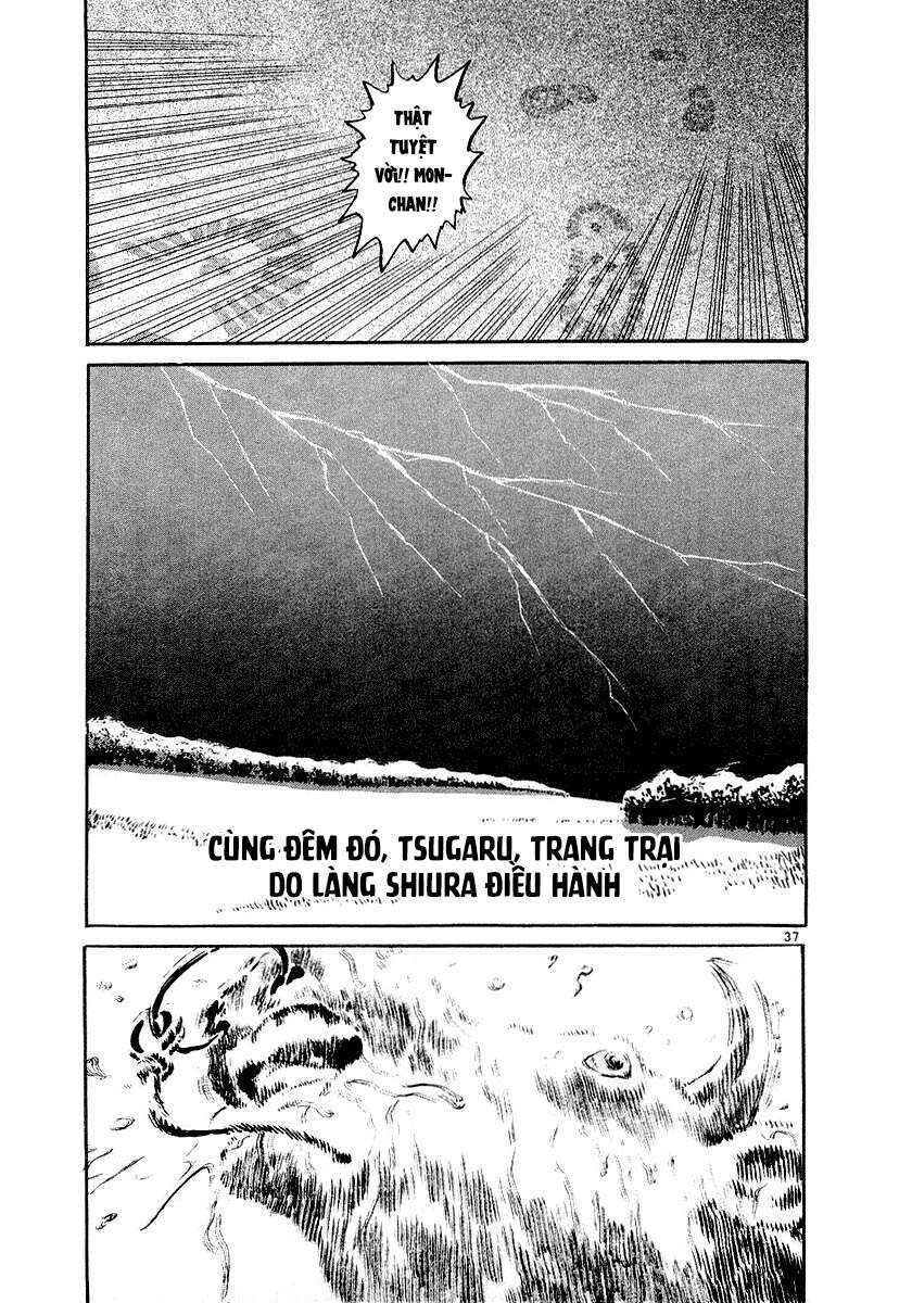 Thế Giới Này Là Của Mình Tao Chapter 1 - 21