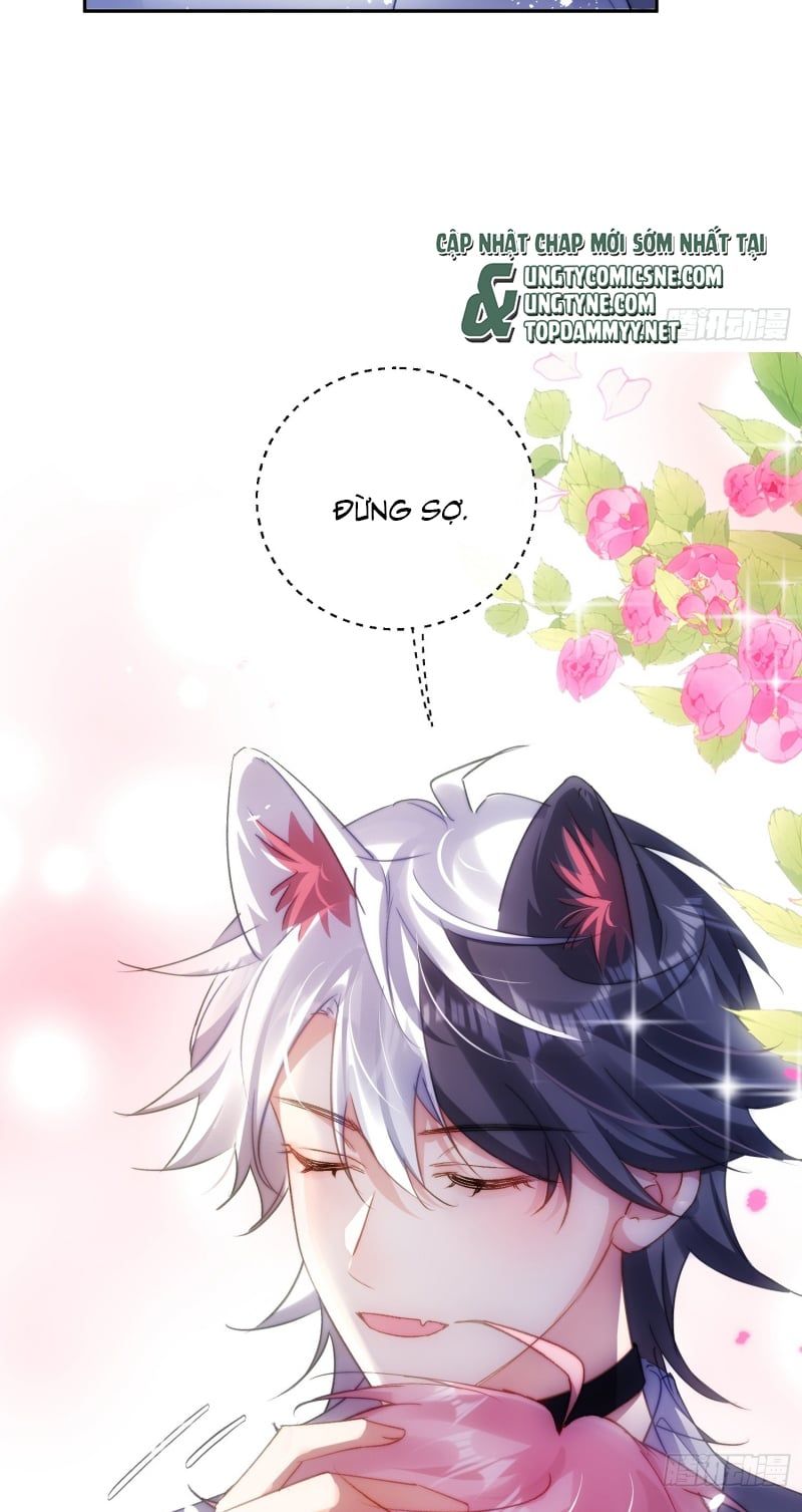 Cả Vũ Trụ Đều Muốn Thân Thiết Với Tôi Chapter 10 - 41