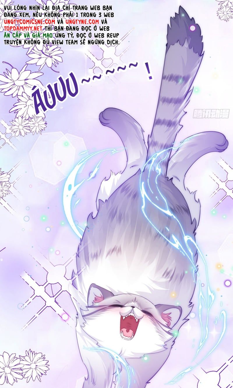 Cả Vũ Trụ Đều Muốn Thân Thiết Với Tôi Chapter 11 - 41