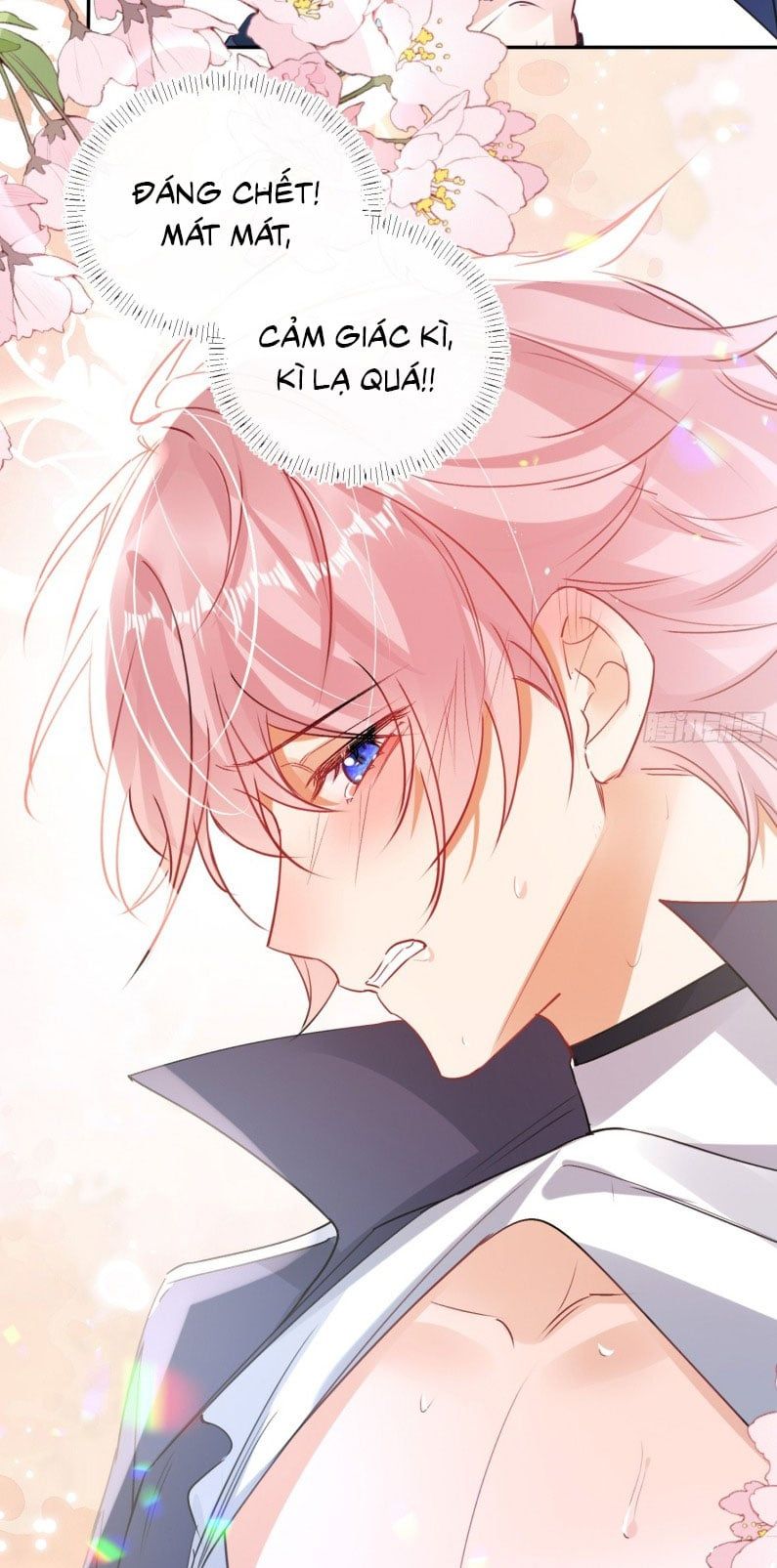 Cả Vũ Trụ Đều Muốn Thân Thiết Với Tôi Chapter 4 - 39