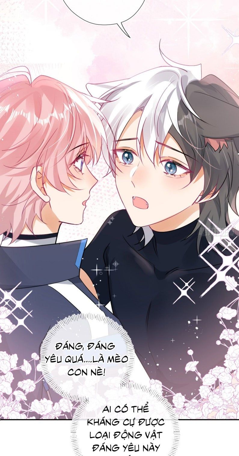 Cả Vũ Trụ Đều Muốn Thân Thiết Với Tôi Chapter 5 - 43