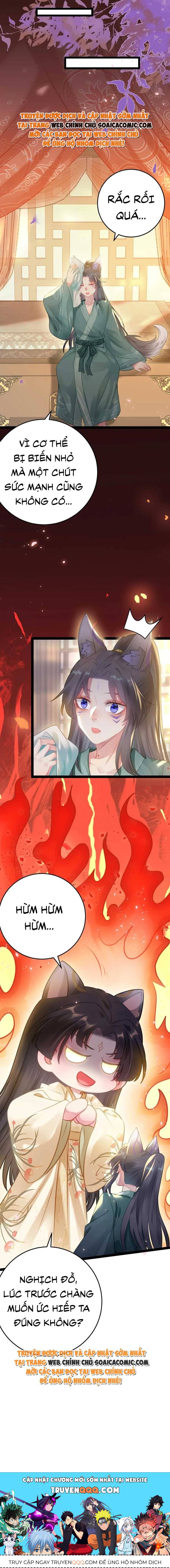 Nghịch Đồ Muốn Ức Hiếp Sư Phụ Mỗi Ngày Chapter 114 - 12