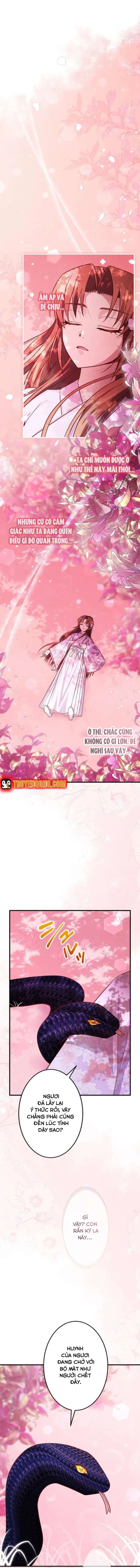 Trùng Sinh Về Kiếp Trước, Ta Phát Hiện Anh Trai Là Kẻ Đại Ác Nhân Chapter 11 - 3