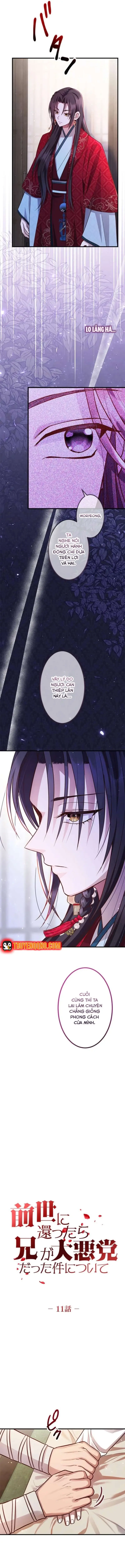 Trùng Sinh Về Kiếp Trước, Ta Phát Hiện Anh Trai Là Kẻ Đại Ác Nhân Chapter 11 - 9