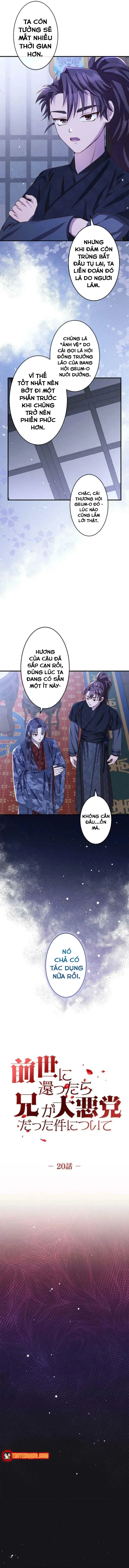 Trùng Sinh Về Kiếp Trước, Ta Phát Hiện Anh Trai Là Kẻ Đại Ác Nhân Chapter 20 - 6