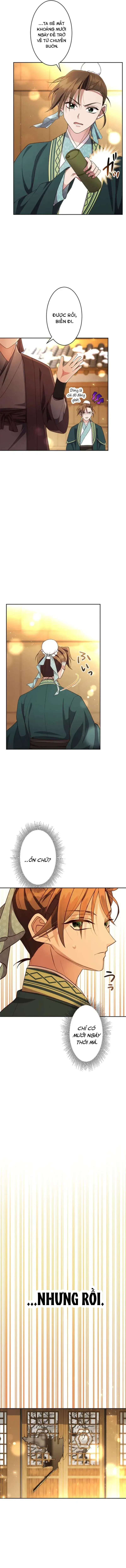 Trùng Sinh Về Kiếp Trước, Ta Phát Hiện Anh Trai Là Kẻ Đại Ác Nhân Chapter 3 - 16