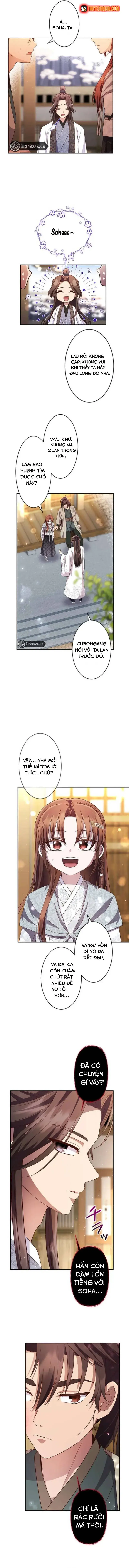 Trùng Sinh Về Kiếp Trước, Ta Phát Hiện Anh Trai Là Kẻ Đại Ác Nhân Chapter 4 - 12