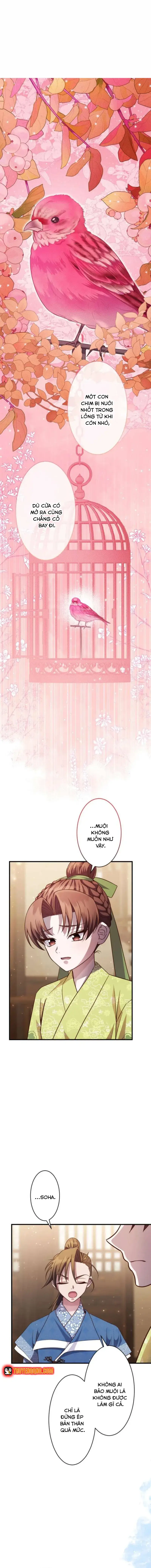 Trùng Sinh Về Kiếp Trước, Ta Phát Hiện Anh Trai Là Kẻ Đại Ác Nhân Chapter 9 - 3