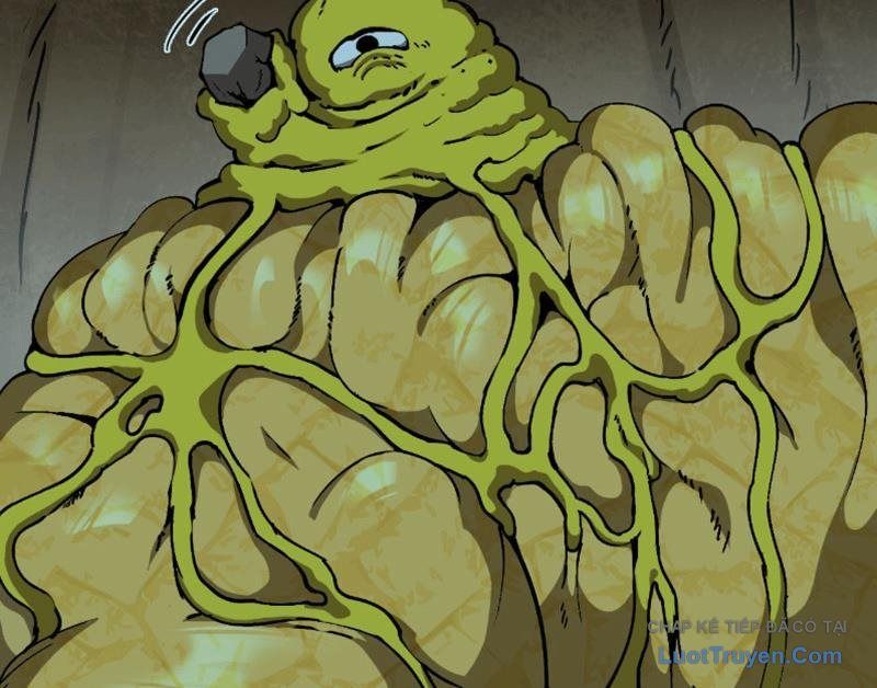 Bắt Đầu Từ Việc Trùng Sinh Thành Niêm Khuẩn Chapter 10 - 153