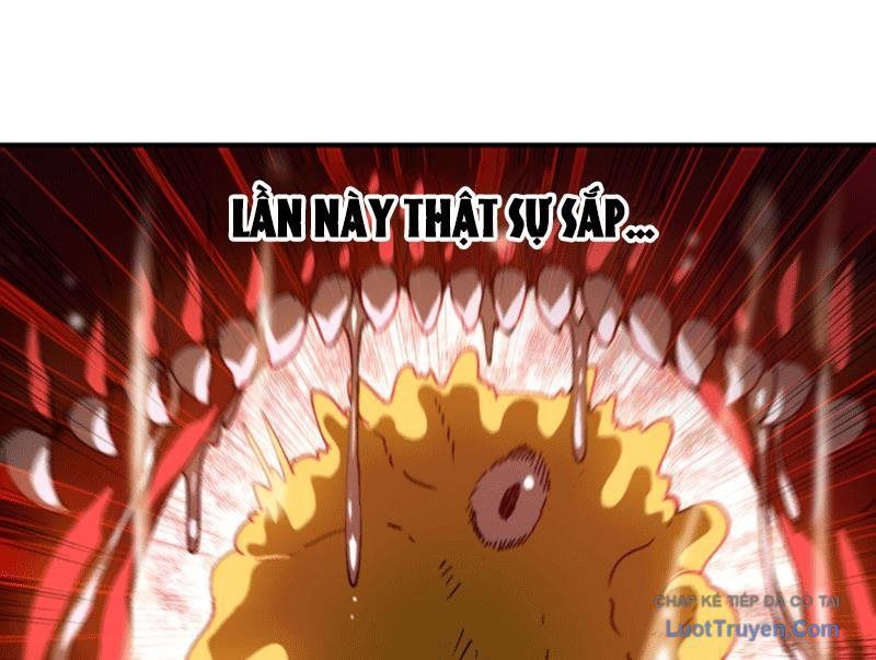 Bắt Đầu Từ Việc Trùng Sinh Thành Niêm Khuẩn Chapter 11 - 137