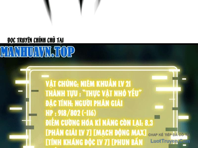 Bắt Đầu Từ Việc Trùng Sinh Thành Niêm Khuẩn Chapter 11 - 6