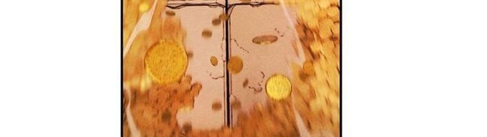 Hầm Ngục Ngon Lành Chapter 33 - 131