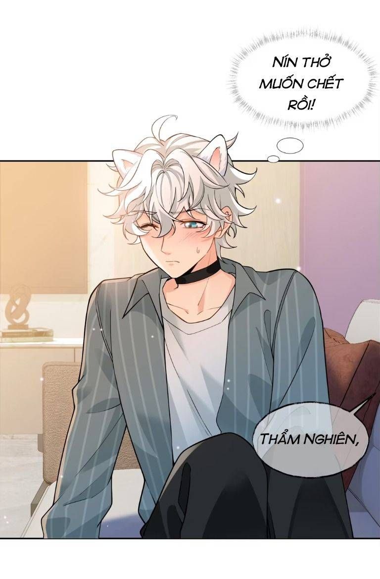 Crush Của Tôi Là Mèo Chapter 1 - 16