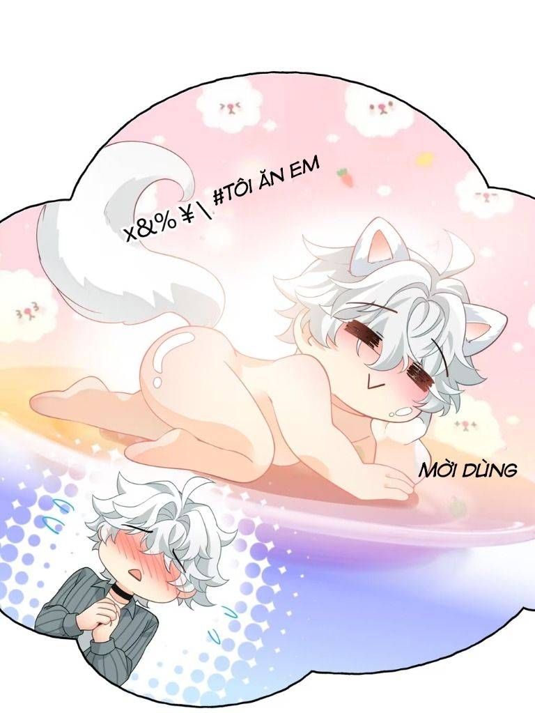 Crush Của Tôi Là Mèo Chapter 1 - 19