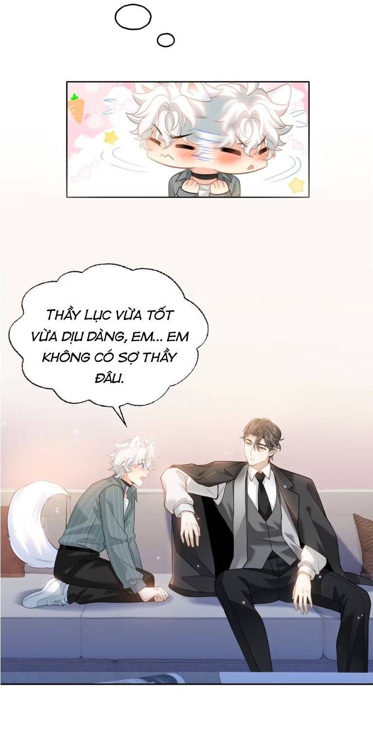 Crush Của Tôi Là Mèo Chapter 1 - 20