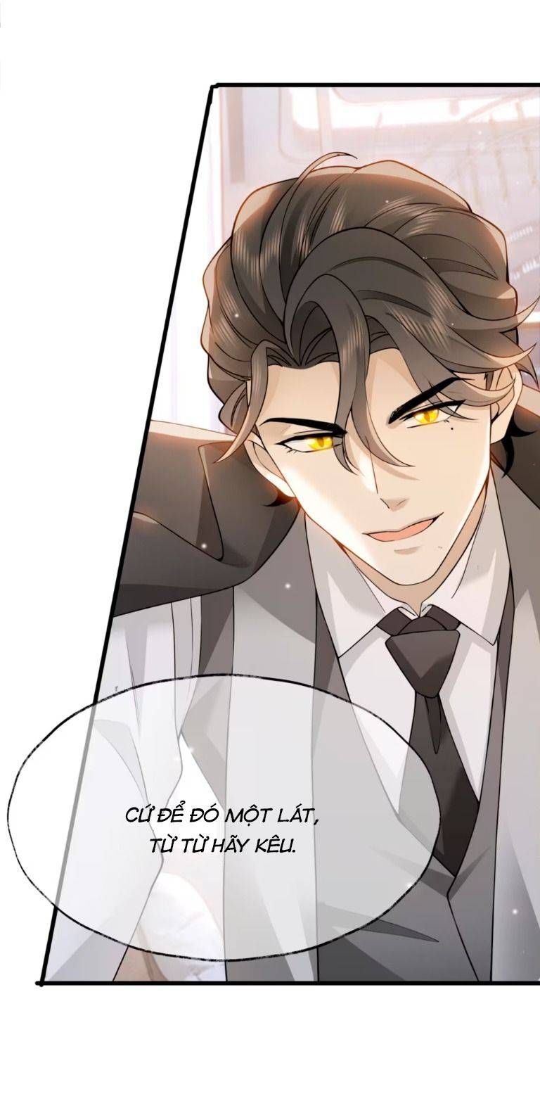 Crush Của Tôi Là Mèo Chapter 1 - 8