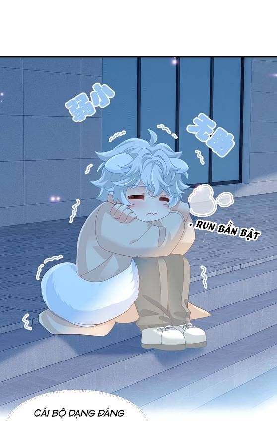 Crush Của Tôi Là Mèo Chapter 2 - 11