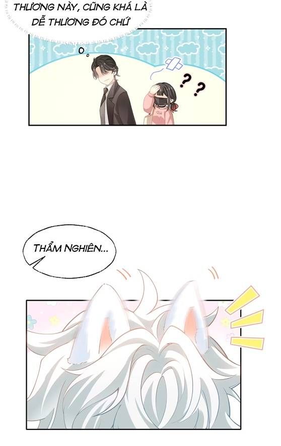 Crush Của Tôi Là Mèo Chapter 2 - 12