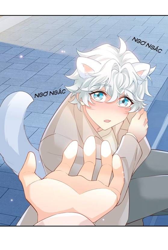 Crush Của Tôi Là Mèo Chapter 2 - 14