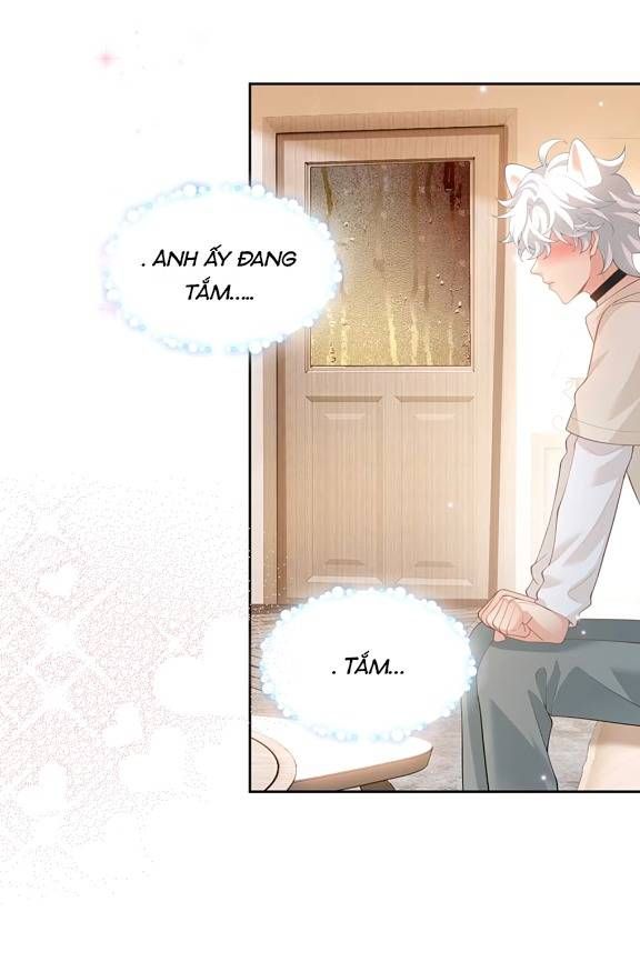 Crush Của Tôi Là Mèo Chapter 2 - 29