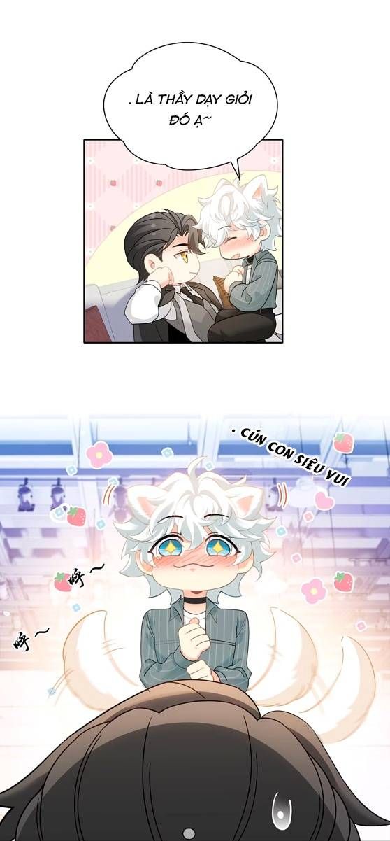 Crush Của Tôi Là Mèo Chapter 2 - 6