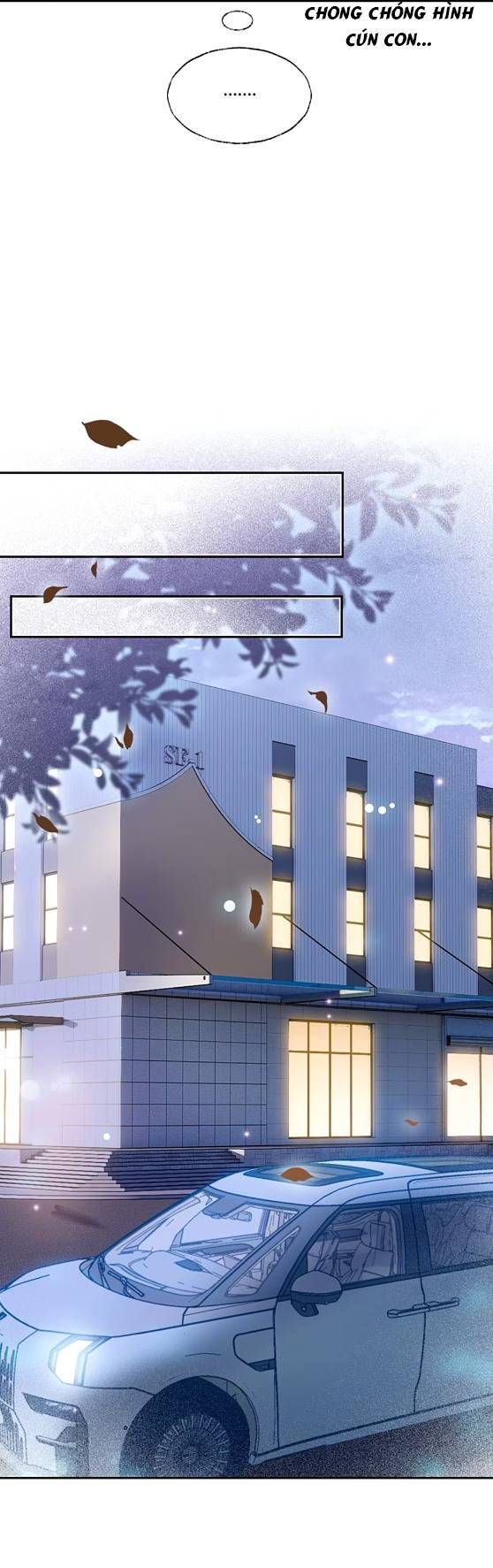 Crush Của Tôi Là Mèo Chapter 2 - 7